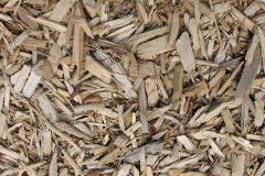 biomass boilers Calenick
